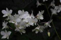 IMG_3932-scaled