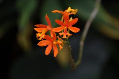 IMG_3937-scaled