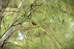 IMG_4000-scaled