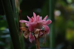 IMG_4003-scaled