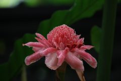 IMG_4005-scaled