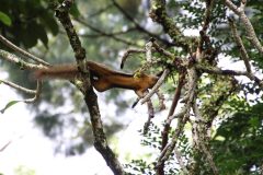 IMG_4108-scaled