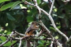 IMG_4118-scaled