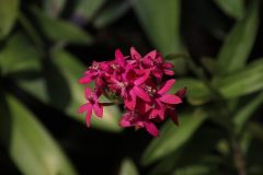 IMG_4131-scaled