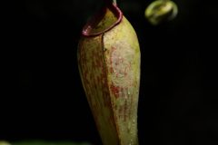 IMG_4149-scaled