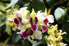 IMG_4170-scaled