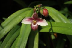 IMG_4172-scaled