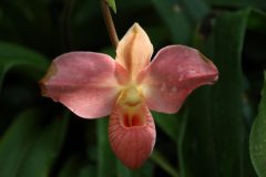 IMG_4182-scaled