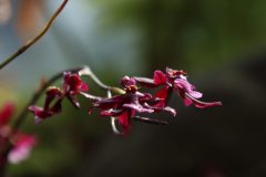 IMG_4205-scaled