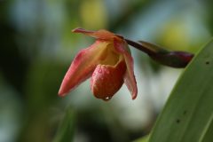 IMG_4211-scaled