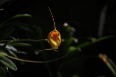 IMG_4215-scaled