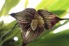 IMG_4249-scaled