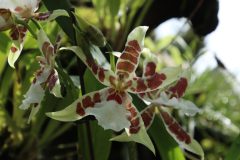 IMG_4251-scaled