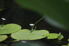 IMG_4333-scaled