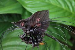 IMG_4339-scaled