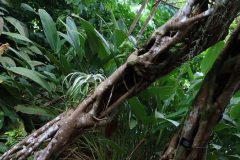 IMG_4343-scaled