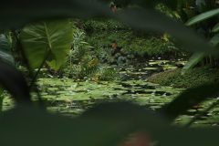 IMG_4361-scaled