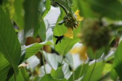 IMG_4375-scaled