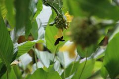 IMG_4387-scaled