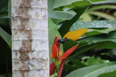 IMG_4443-scaled