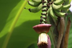 IMG_4505-scaled