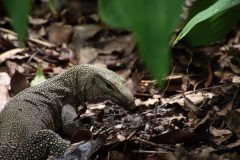 IMG_4521-scaled