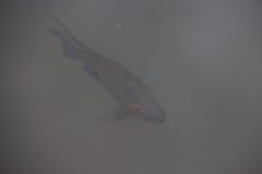 IMG_4544-scaled