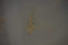 IMG_4558-scaled