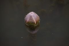 IMG_4564-scaled