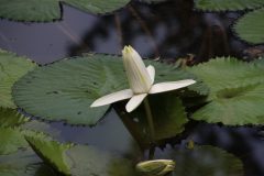 IMG_4575-scaled
