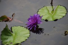 IMG_4670-scaled