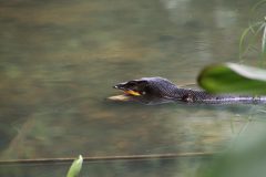 IMG_4748-scaled