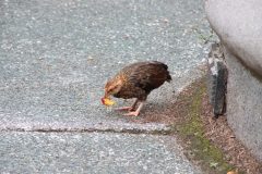 IMG_4830-scaled