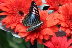 IMG_4898-scaled