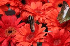 IMG_4902-scaled