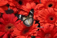 IMG_4903-scaled