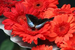 IMG_4918-scaled