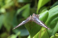 IMG_4968-scaled