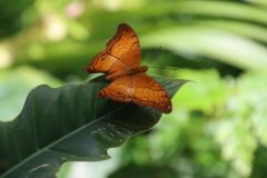 IMG_4976-scaled