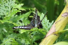 IMG_4984-scaled