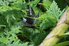 IMG_5006-scaled
