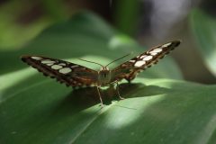 IMG_5026-scaled