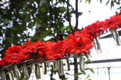 IMG_5090-scaled