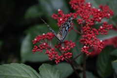 IMG_5094-scaled