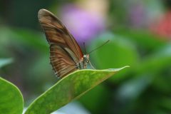 IMG_5126-scaled