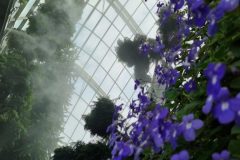 20230904_160936-scaled
