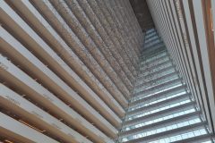 20230904_175909-scaled
