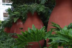 IMG_1965-scaled
