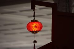 IMG_1996-scaled