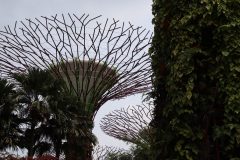 IMG_2018-scaled